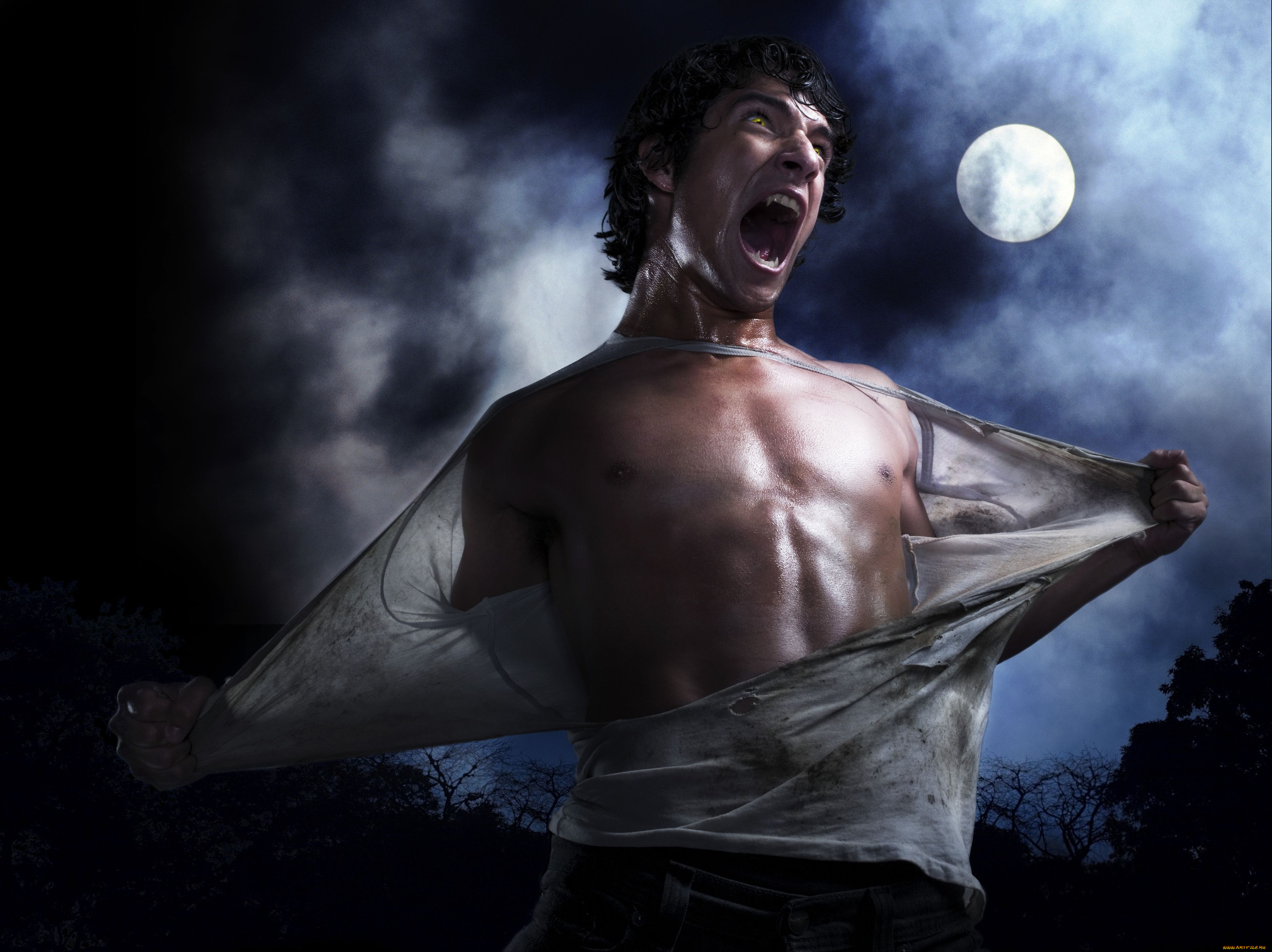 teen, wolf, , , , 